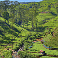 mountain landscape in Sri Lanka