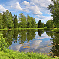 summer lake landscape in park